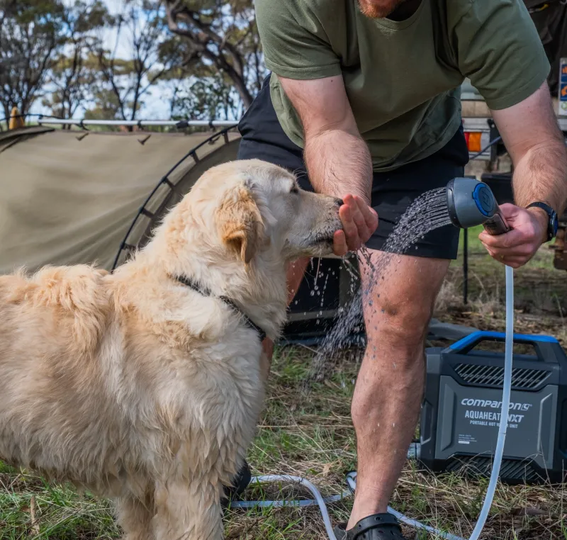 Showers<Companion Aquaheat NXT Shower Head & Hose
