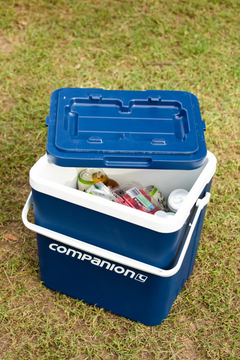 Hard Coolers<Companion 26L - Hard Cooler