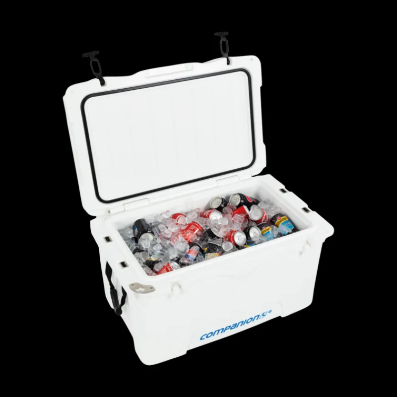 Hard Coolers<Companion 70L Ice Box
