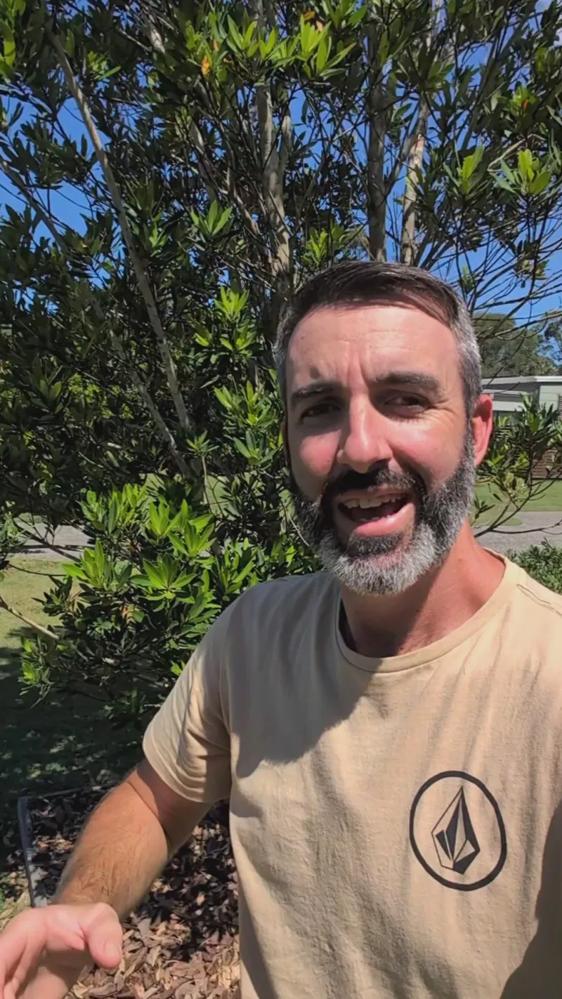 Power Packs<Companion Rover 1300 Power Station