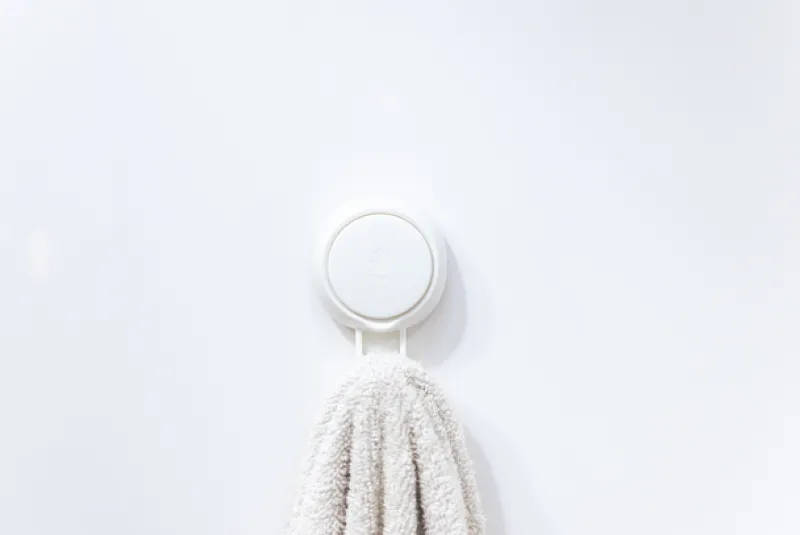 Accessories<Companion Suction Hook