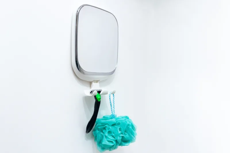Accessories<Companion Suction Mirror